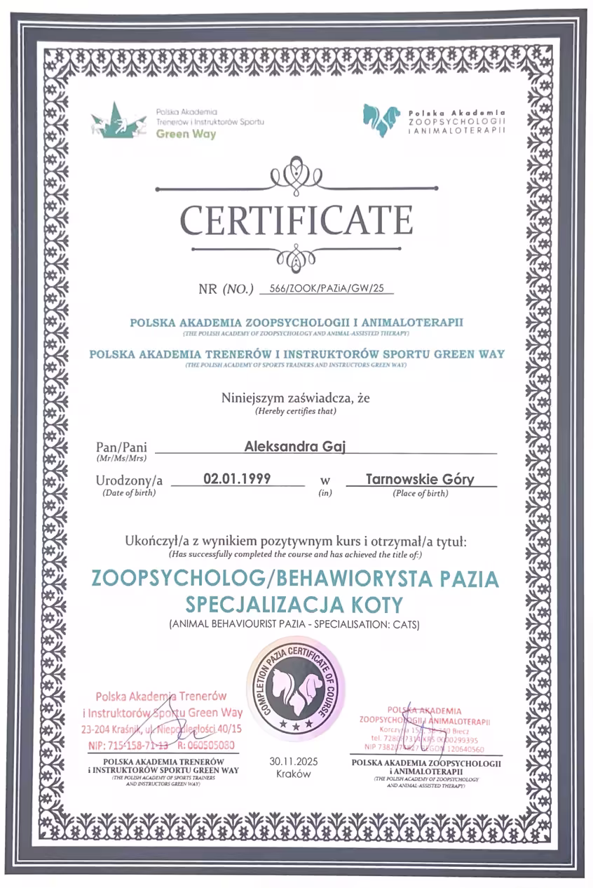 Certyfikat ukończenia kursu Zoopsychologii - specjalizacja koty